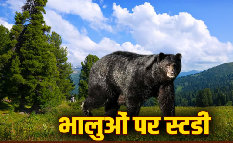 Capture