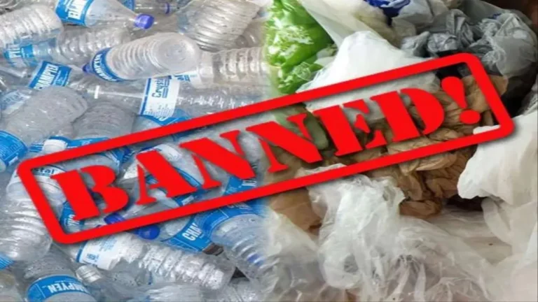 06_06_2023-plastic_ban_23433460-1763442947280