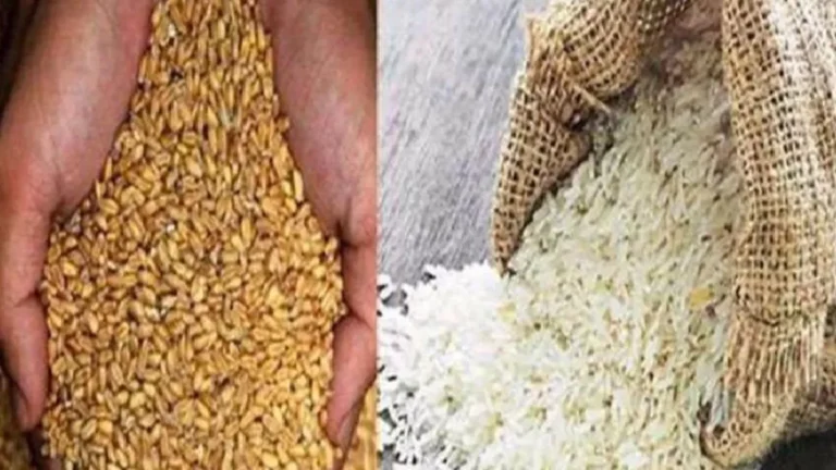 wheat--1764692788793